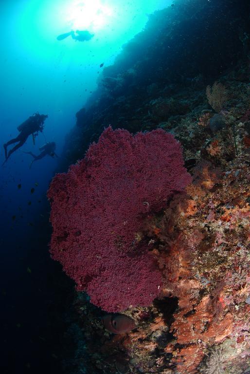 Bunaken Divers Sea Breeze Resort Exterior photo